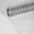 PVC Coated galvanized hexagonal wire mesh for Chicken